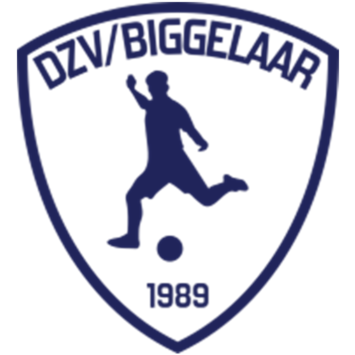DZV / H. v.d. Biggelaar & Zn. 🏆