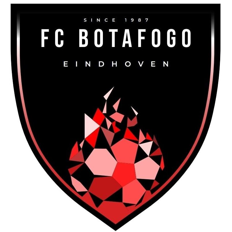 FC Botafogo VR