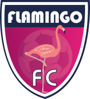 FC Flamingo